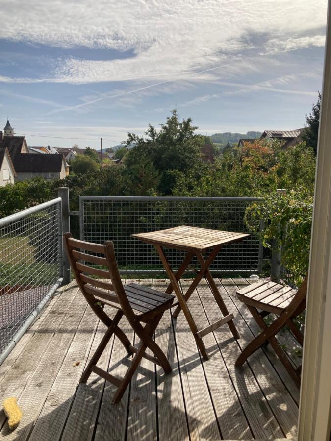 3 Zi Wohnung Haustiere Willkommen Im Markgraeflerland Dreilaendereck Schliengen Esterno foto